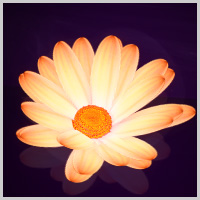 Create a Beautifully Animated Faux 3D Flower Scene