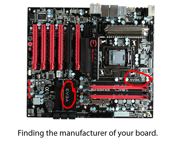 AETuts-all-components