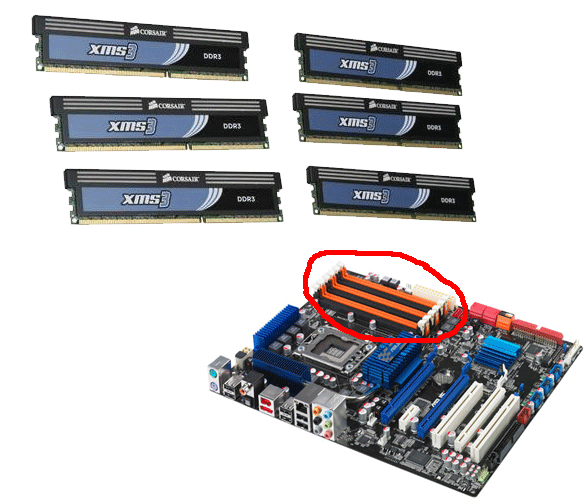 AETuts-all-components