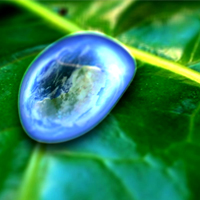 Create Your Own “Green” Earth Day Animation