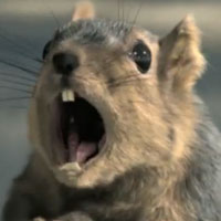 36 Studio Reels That Will Knock Your Socks Off
