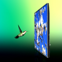 60 Wing Flaps At 60 Frames Per Second