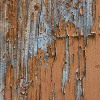 33 Dandy Texture Packs All For You