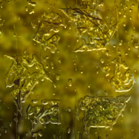 Rendering Photorealistic Water Droplets